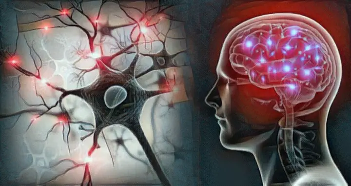 Qué son las neurociencias