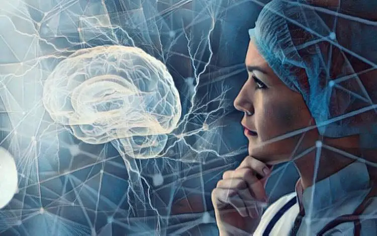 Neurólogos revelan cómo mejorar la memoria a medida que envejece el cerebro
