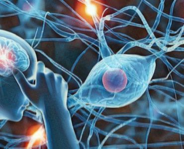 Imagen del cerebro y las conexiones neuronales para explicar la neurasteenia