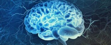 La amígdala y su influencia en las emociones