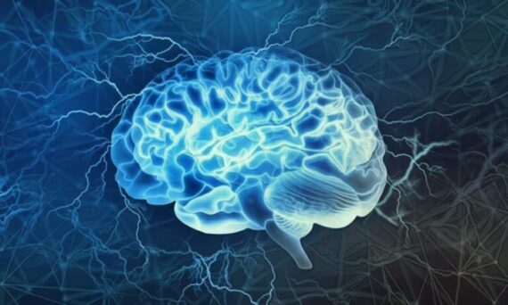 La amígdala y su influencia en las emociones