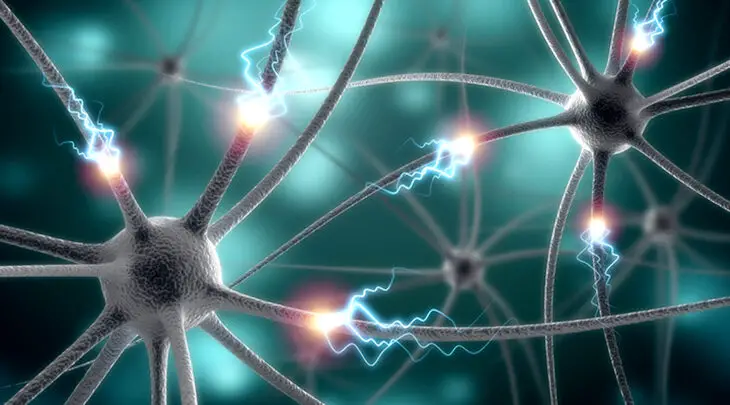 Conexiones neuronales y los recuerdos