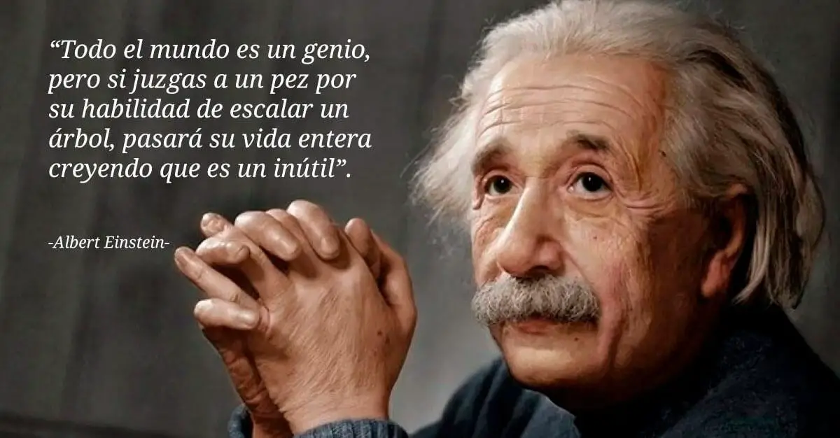 Las 20 Mejores Frases De Albert Einstein