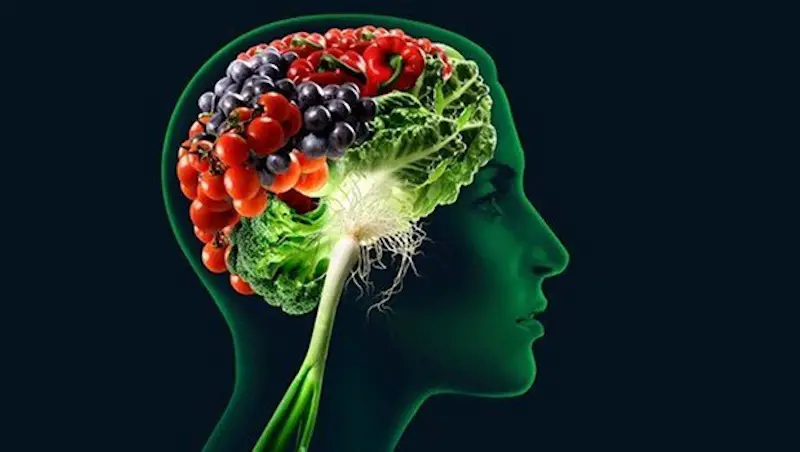 Imagen que ilustra la importancia de los nutrientes para un cerebro sano y evitar que nos afecte la salud mental